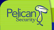 Pelican Security